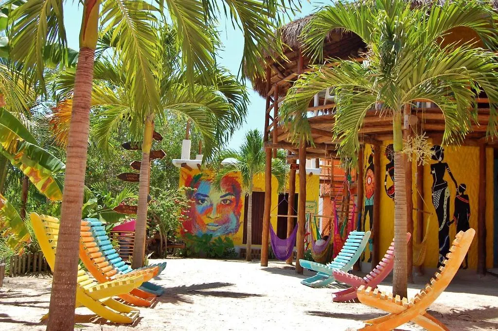 Tribu Hostel contacts