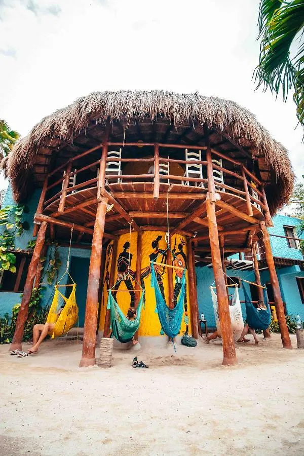 Tribu Hostel Isla Holbox